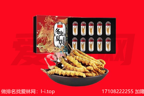 本溪市平山回收虫草.jpg